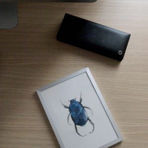 Hoplia coerulea • Scarabée bleu • Tirage en édition limitée et numérotée sur papier texturé
